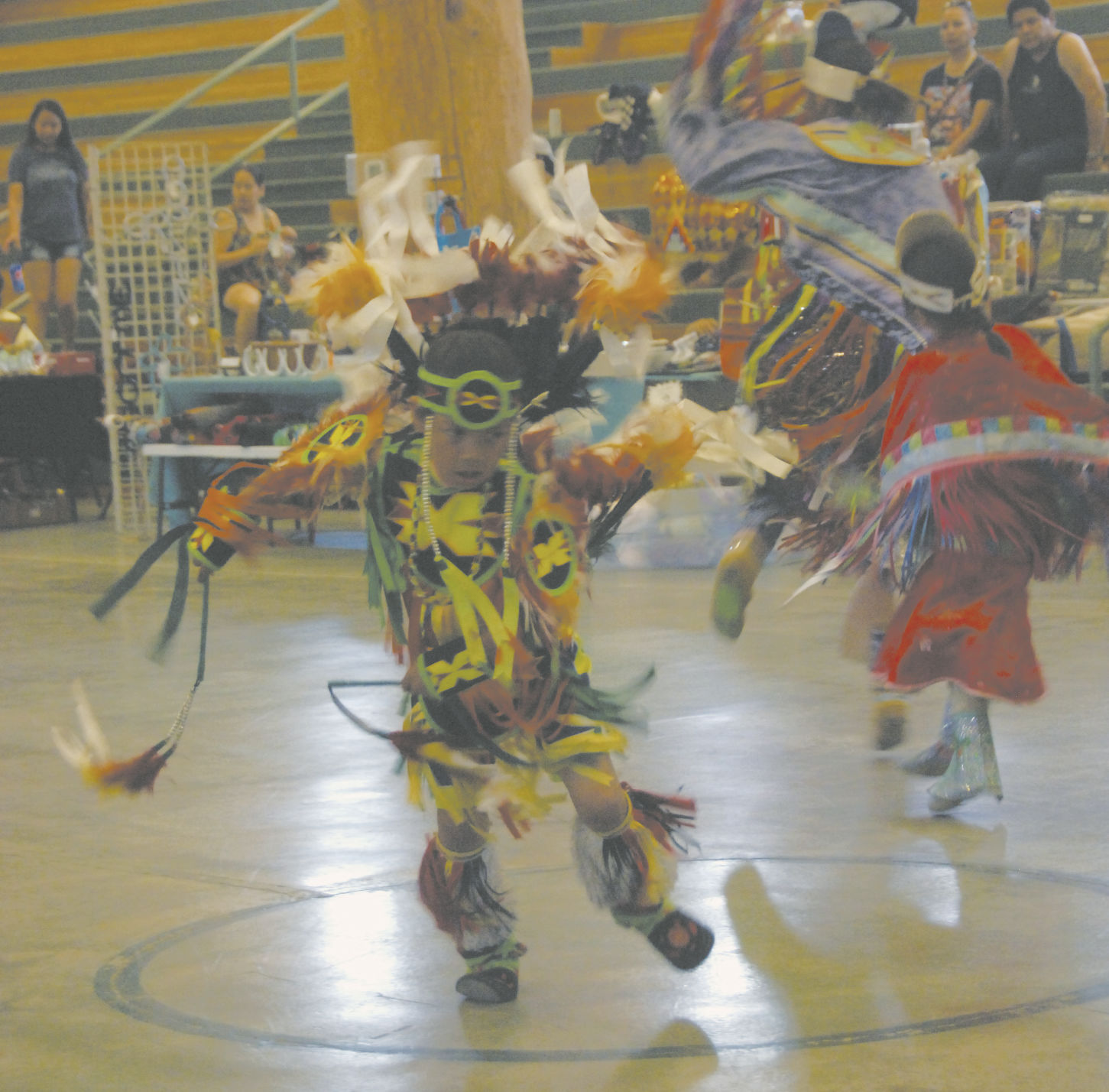 Fancy dancer